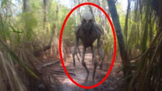 Disturbing Trail Cam Footage That Went Viral Overnight [upl. by Alisia]