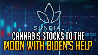 Sundial Growers Financial Stock Review Over 1 Billion Shares Traded Each Day SNDL [upl. by Shere]