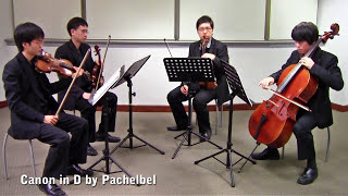 Canon in D by Pachelbel Vetta Quartet from Singapore [upl. by Itnaihc462]