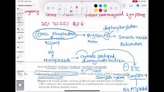 nitroprusside vasodilator pharmacology cardiology 123  First Aid USMLE Step 1 in UrduHindi [upl. by Yelrahs]