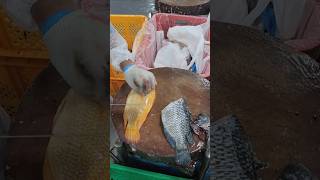 Tilapia fillet fypシ゚viral fishfillet cuttingskils [upl. by Andre]