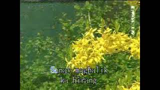 Bakas Ng Lumipas by Eddie Peregrina  Karaoke [upl. by Anaya]