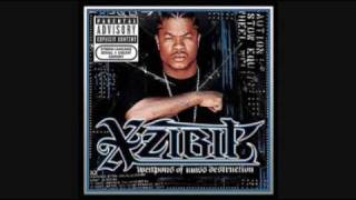 Xzibit  Saturday Night Live [upl. by Dominus]