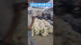 D185 धनिया के बाजार में नर्मी viralvideo mandibhav mandi farming dailyvlog minivlog [upl. by Marcile]