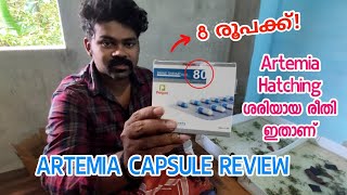 Artemia capsule malayalam  how to hatch artemia eggs 🔥 artemia [upl. by Pardo]