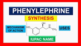 Phenylephrine Synthesis Structure IUPAC name Mechanism of Action Uses [upl. by Raimundo235]