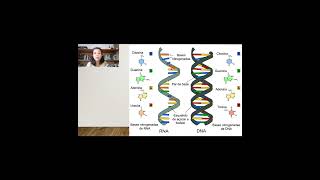 Vídeo aula  DNA RNA e Síntese de Proteínas [upl. by Inah]