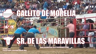 21 DESTRUCTORES DE MEMO OCAMPO vs SANGRE GRA NIÑOS DE LA SIERRA Y GENIOS DE GTO MORELIA [upl. by Nollad]