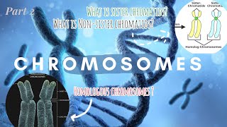 Chromosomes PART 2 genetics biology biostudies [upl. by Isewk]