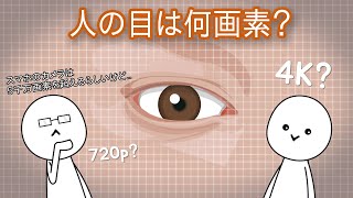 【人体】人の眼の画素数は？ [upl. by Yenaj]