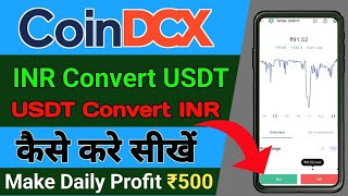 Coin DCX me USDT ko INR me kaise convert kare  How to convert INR into USDT Coin DCX [upl. by Eetsirhc]