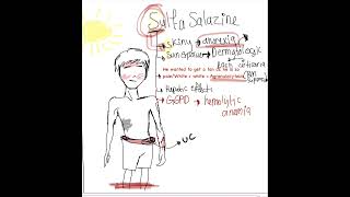 Sulfasalazine adverse effects [upl. by Annas272]