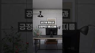 행운과 긍정적인 에너지를 불어넣은 포츈타일 [upl. by Adnawat]