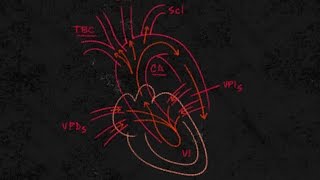 Cardiología Insuficiencia cardiaca quotizquierda y derechaquot [upl. by Beckett466]