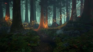 Enchanted Forest  Music amp Ambience ✨🌲🧚🏻 [upl. by Annaiek]