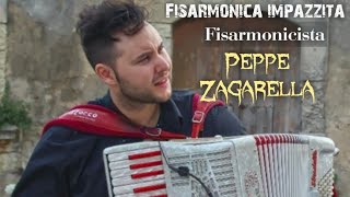 FISARMONICA IMPAZZITA nuova versione COMPOSIZIONE SUPER VIRTUOSA DEL MAESTRO PEPPE ZAGARELLA 🪗🇲🇽 [upl. by Aneetsirk68]