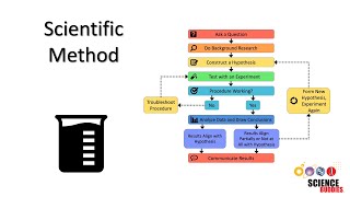 The Scientific Method Steps and Examples [upl. by Revned370]