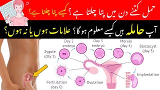 How To Know You Are Pregnant Pregnancy Ka Kaise Pata Chalta Hai  Pregnancy test  implantation [upl. by Garret777]