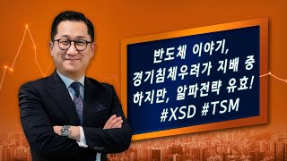 반도체 이야기 경기침체 우려가 지배중 하지만 알파전략 유효 XSD ETF TSMC 220610 유동원의 글로벌 투자이야기 [upl. by Che]