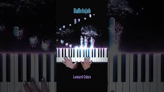 Leonard Cohen  Hallelujah Piano Cover Hallelujah LeonardCohen PianellaPianoShorts [upl. by Ayrolg]