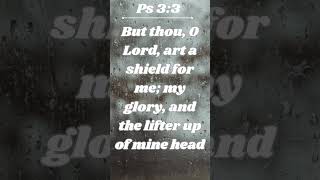 Ps 33 God is the lifter of my head Amen 🙏 bible bibileversetoday shorts [upl. by Rochemont]