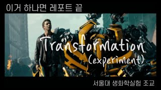 How to Transformation 실험편  Arc 안 뜨게 하는 법  heat shock vs electroporation [upl. by Kerr]