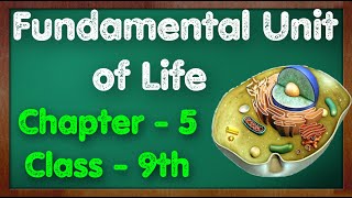 Fundamental Unit of Life Class 9 Science Chapter 5 Biology CBSE NCERT KVS [upl. by Ednil939]