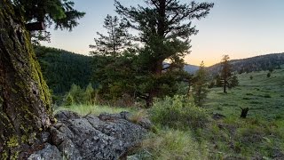 Peachland amp Summerland BC  Free camping easy hiking and lake swimming [upl. by Marco925]