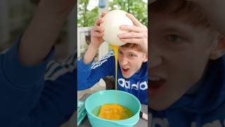 Attempting To Microwave An Ostrich Egg shorts [upl. by Naoj642]