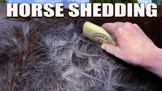 Relaxing And Satisfying Horse Shedding ASMR 2022 [upl. by Zonnya]