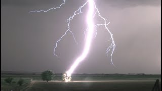 Lightning Striking Tree in 4K  Tree Catches on Fire [upl. by Apurk]