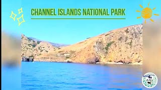 Free Diving at Channel Islands I saw bat rays [upl. by Rubio498]