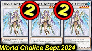 【EDOPRO】WORLD CHALICE DECK POST TCG BANLIST SEPT2024 [upl. by Carn]