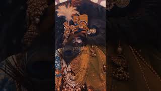 Deenanath Meri Baat  song music viralvideo radha shyam radhakrishna [upl. by Alenson]