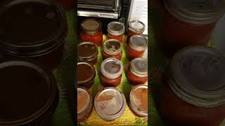 Canning Frozen Tomatoes everybitcountschallenge 81924 homegrown homemade tomatosauce canning [upl. by Akcira900]