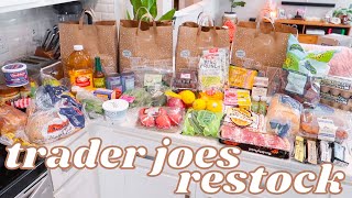 trader joes grocery haul new year restock 2024 [upl. by Madaras846]