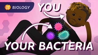 Bacterial DNA amp Genetics Crash Course Biology 38 [upl. by Gerc551]