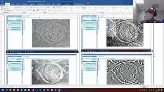 Tomogram segmentation with SURVOS Instruct course on cryo electron tomography Madrid December [upl. by Illek]