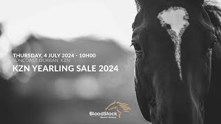 KZN YEARLING SALE 2024 [upl. by Lebasy782]