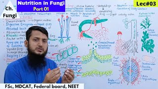 Nutrition in Fungi  Saprotrophs parasites and predator fungi  class 11 [upl. by Nnayhs909]