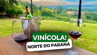 VISITANDO VINÍCOLA NO PARANÁ  TOUR PELA CASA CARNASCIALI  PASSEIO NOS VINHEDOS  VALE A PENA [upl. by Inoliel]