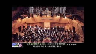 交響樂團演奏的懷舊金曲  北京中央交響樂團 [upl. by Engle]