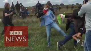 Camerawoman trips up fleeing migrants  BBC News [upl. by Noleta]