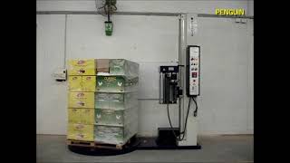 Pallet stretch wrapping machine for carton boxes [upl. by Goodwin]