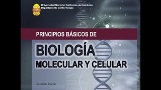 Principios básicos de biología celular y molecular [upl. by Dena]