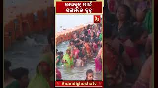 ଭାଇଦୁଜ୍ ପାଇଁ ସଙ୍ଗମରେ ବୁଡ଼ prayagraj holydip sangam bhaiduj shorts [upl. by Munro]