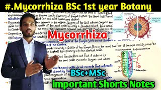 What is Mycorrhiza  BSc first year Botany 1st Semester  Types of mycorrhiza  mycorrhiza notes [upl. by Econah]