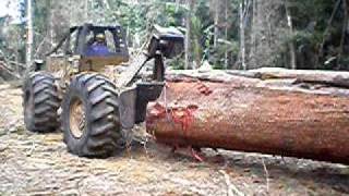 Skidder logging a large tree in a tropical forest rain forest [upl. by Amin610]