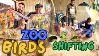 ZOO ME KON SE NEW PARROTS ARAHE Mini zoo pet house vlog [upl. by Fowler828]