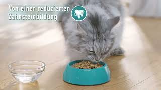 Purina ONE  Sichtbare Gesundheit für heute und morgen [upl. by Steinberg]